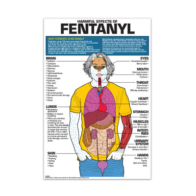 Harmful Effects of Fentanyl Chart, health education chart with body outline showing fentanyl danagers, Health Edco, 70986