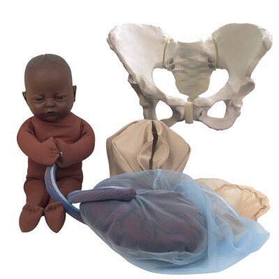 Childbirth Model Set with dark brown skin tone fetal model, pelvis, perineal, and placenta models, Childbirth Graphics, 78015