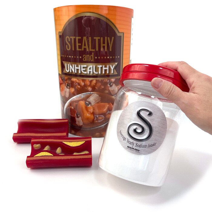 Stealthy and Unhealthy Sodium Display, health education display, Health Edco nutrition and heart education models, 78131