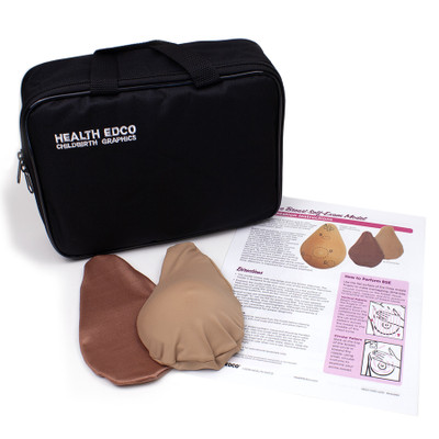Deluxe Breast Self-Exam Model, breast self-awareness for breast cancer, women's health education products, Health Edco, 78507
