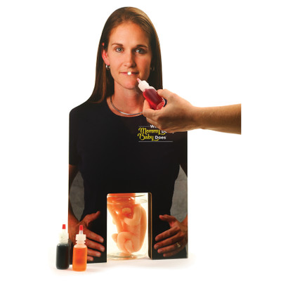 What Mommy Does Baby Does Display, substance abuse during pregnancy demonstration model, Childbirth Graphics, 78745