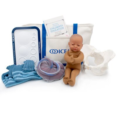 ICEA Educator Tool Kit With Brown Fetal Model by Childbirth Graphics, childbirth educator resources and teaching tools, 78831