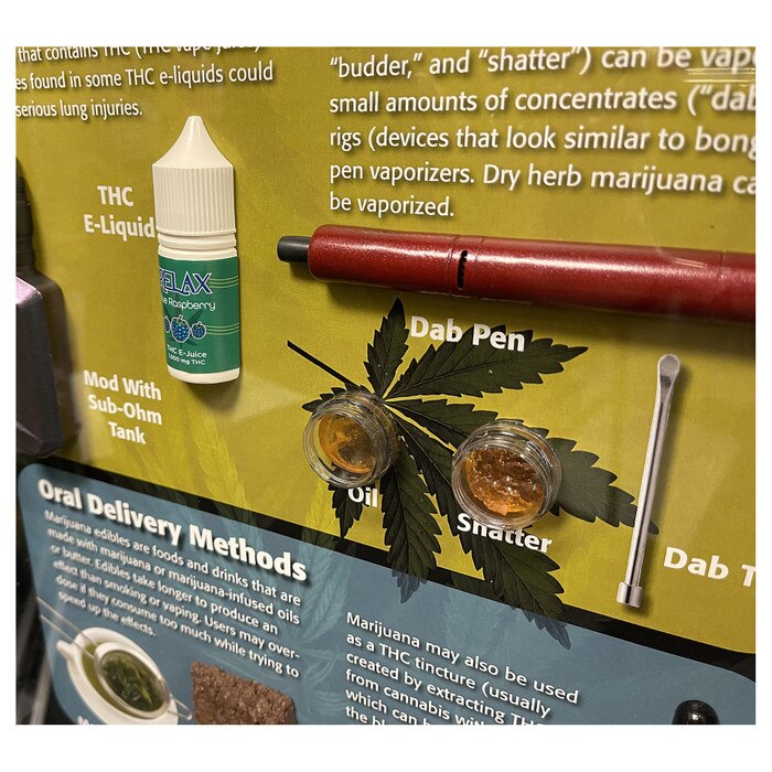 Close view of health education models for THC vaping in Marijuana / Cannabis: A Closer Look 3-D Display, Health Edco, 78840