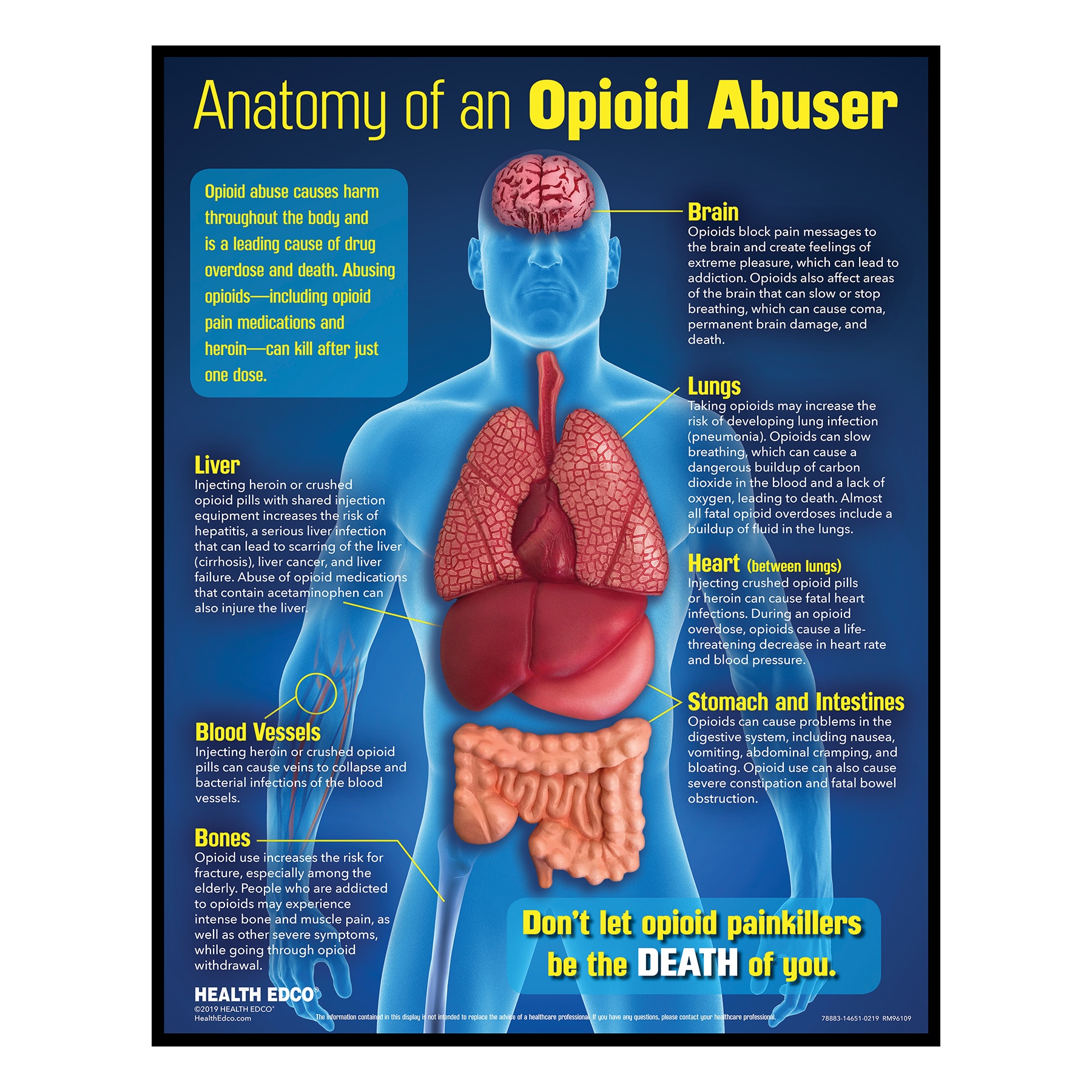 Effects Of Drugs On The Body Chart