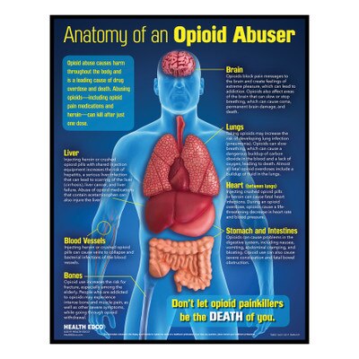 Drug Abuse Education Materials Products Health Edco - 