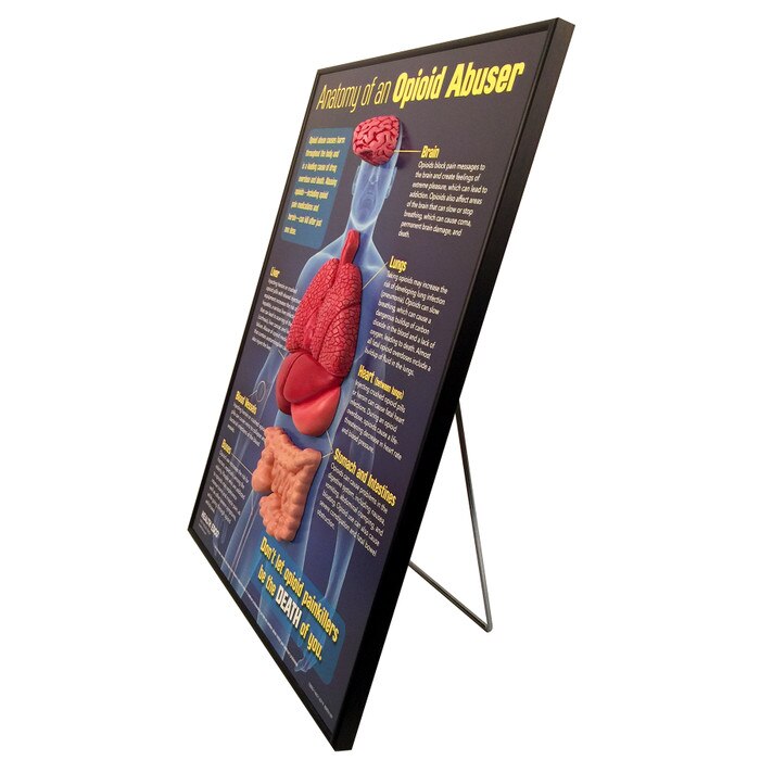 Anatomy of an Opioid Abuser 3-D health education display side view with models and display stand, Health Edco, 78883