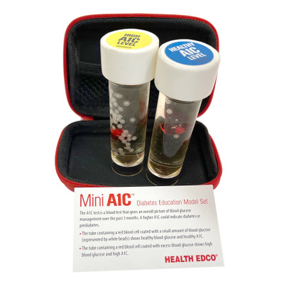 Mini A1C Diabetes Education Model Set with test tubes showing healthy A1C and high A1C levels, Health Edco, 79820