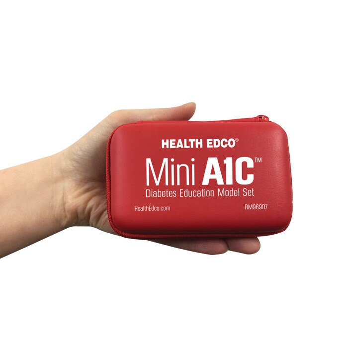 Mini A1C Diabetes Education Model Set Case containing test tubes, diabetes education materials and models, Health Edco, 79820