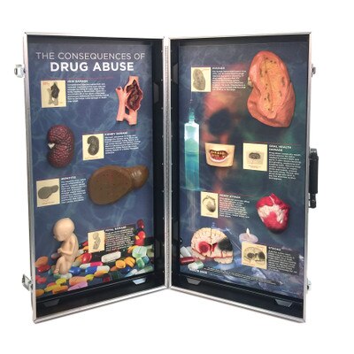 Educational Drug Awareness Guide Chart