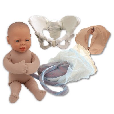 Childbirth Model Set with beige skin tone fetal model, pelvis, perineal cloth and placenta models, Childbirth Graphics, 78968