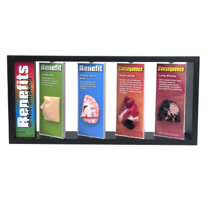 Benefits of Not Smoking 3-D Display for health education with body organ models, tobacco education models, Health Edco, 79032