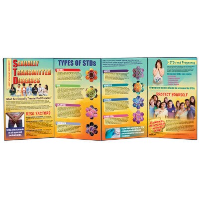 What You Should Know About STDs Folding Display for sex education by Health Edco with information about multiple STDs, 79087