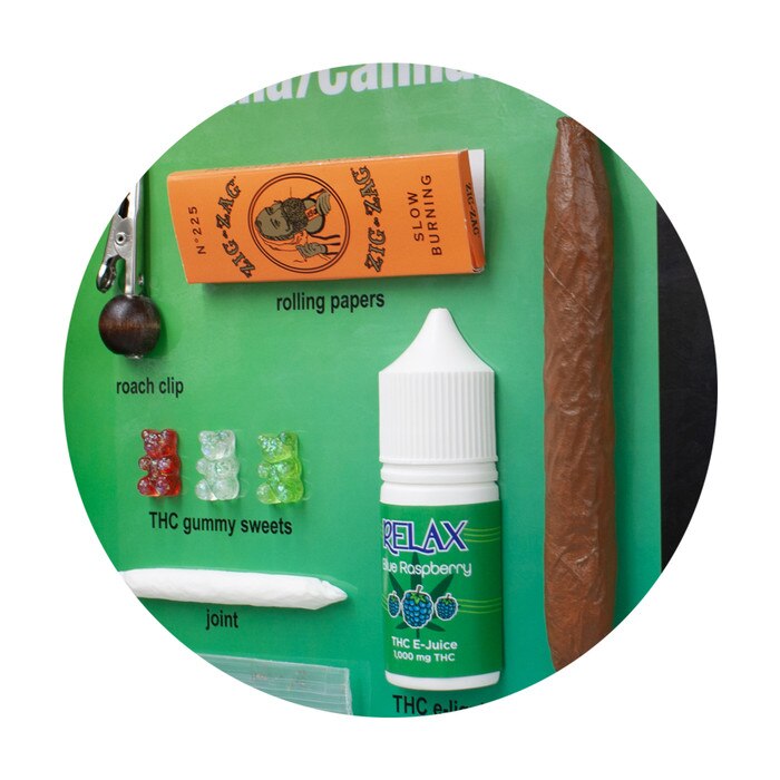Drug Identification Guide, health education display, realistic facsimiles of marijuana and cannabis, Health Edco, 79216