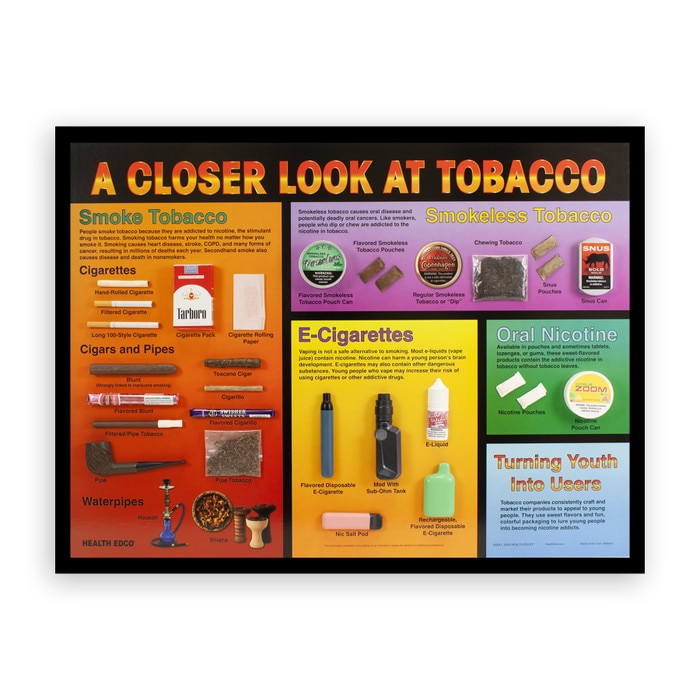 what are the types of tobacco Types of Tobacco Products 3-D Display what are the types of tobacco Types of Tobacco Products 3-D Display