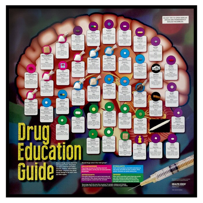 drug education essay titles