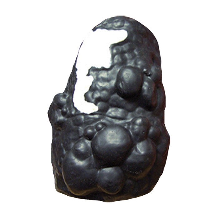 Model of lung depicting lung cancer and COPD from Health Edco's Lou-Wheeze Smoker's Lung Comparison Model, 79261