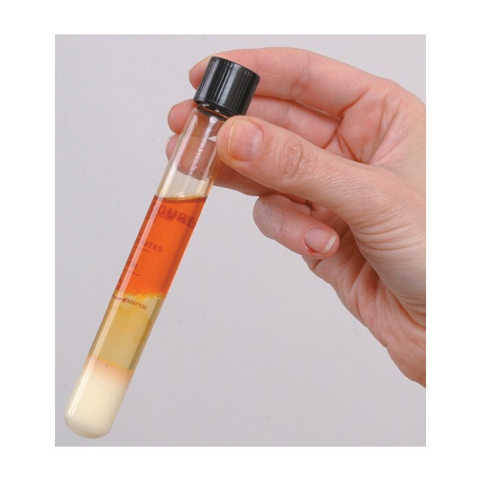 Carb / Protein / Fat Test Tubes, handing holding health and nutrition education test tube in teaching set, Health Edco, 79303