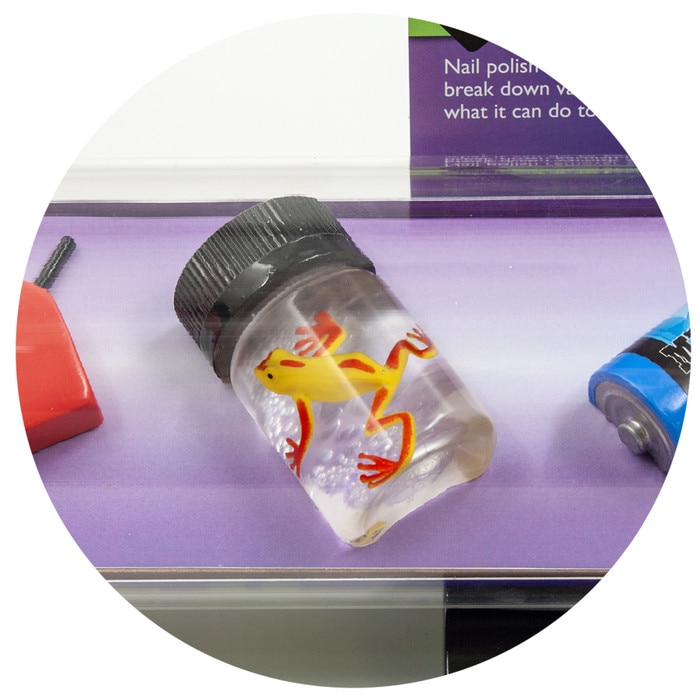 Toxic Haze: Vaping Poisons Display, close-up of frog in formaldehyde jar model in large vape model, Health Edco, 79309