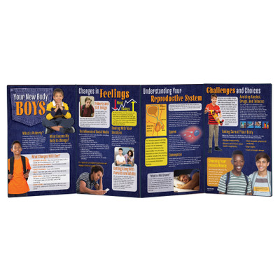Your New Body: Boys Folding Display, puberty teaching resource and health education materials, Health Edco, 79328