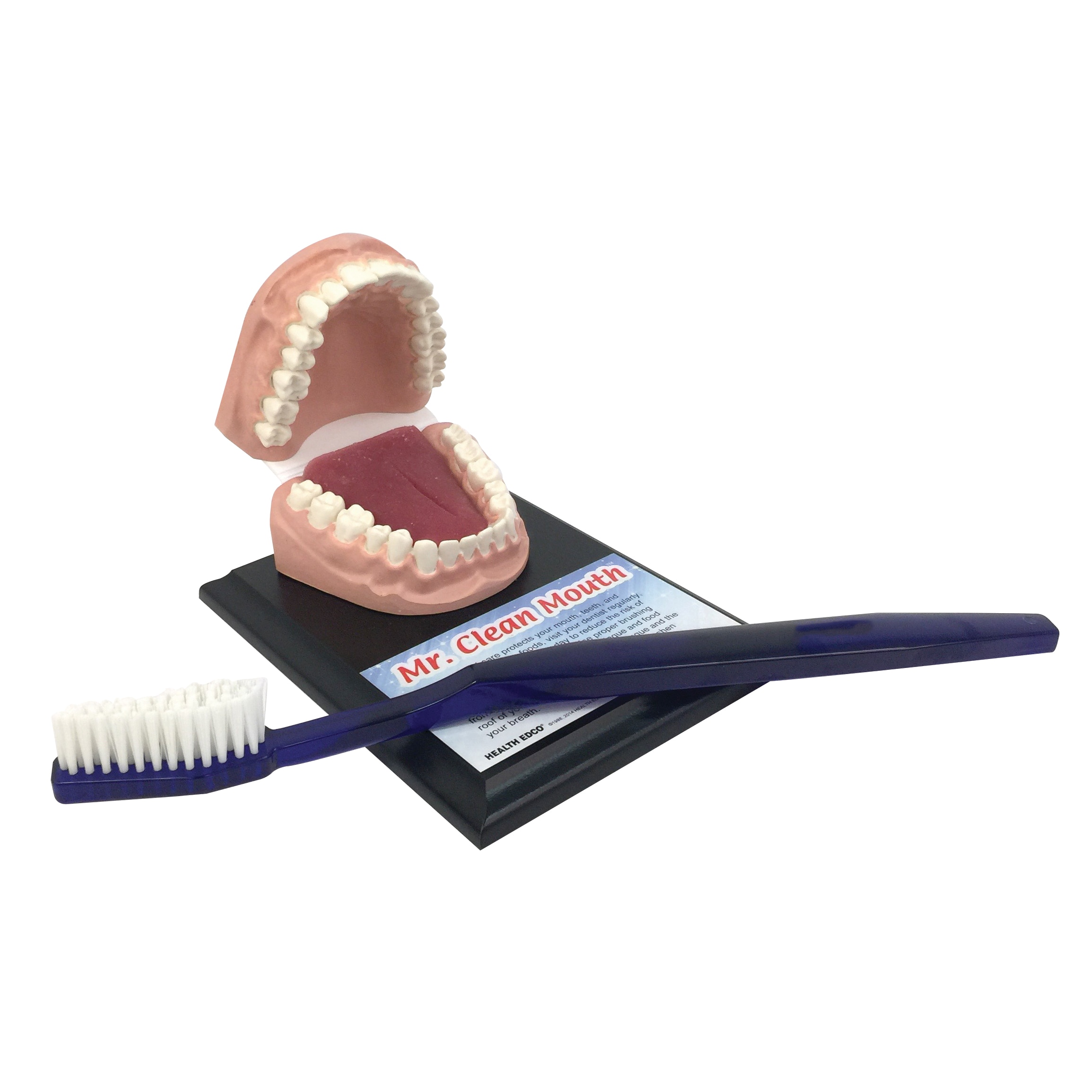 mouth brush