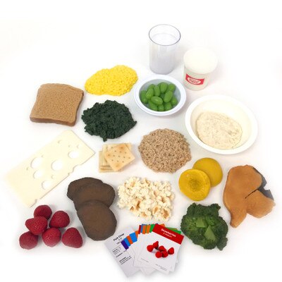 Nutrition During Pregnancy Food Set, fake food models types & portions for pregnancy, Childbirth Grapics, 79588