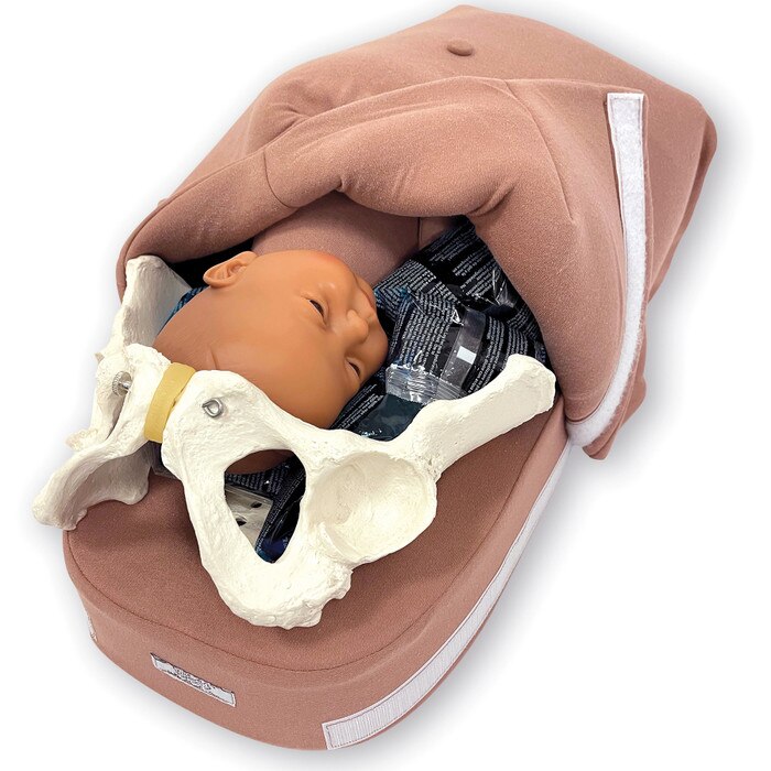 Abdominal Palpation Model, childbirth education model with cover open to show fetus and pelvis, Childbirth Graphics, 79820