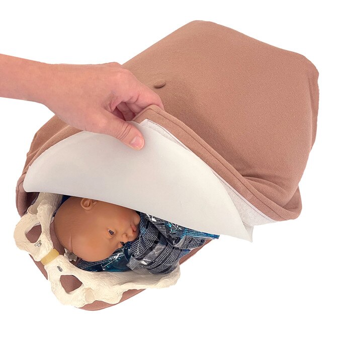 Abdominal Palpation Model, hand pulling teaching cover to show fetus and pelvis models inside, Childbirth Graphics, 79820