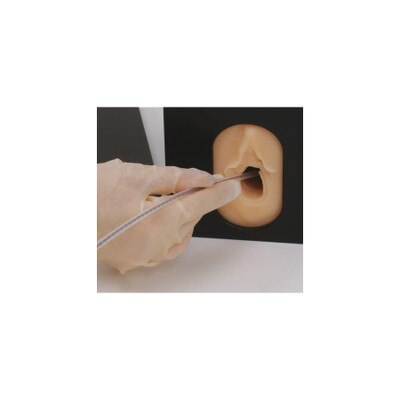 Internal Fetal Monitor Trainer Childbirth Graphics