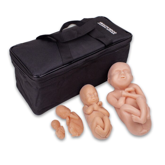 Fetus Model Set of 4, childbirth education model set of four fetal models with carrying case, Childbirth Graphics, 79867