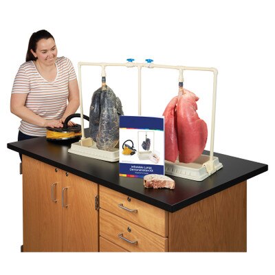 Simulated Smoker's Lung Comparison Kit With Dual Rack, health education display tobacco teaching activity, Health Edco, 84349