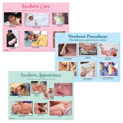 Newborn Chart Set of three charts for childbirth education from Childbirth Graphics showing healthy newborn appearance, 90160