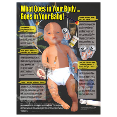 What Goes in Your Body Goes in Your Body Goes in Your Baby Chart from Childbirth Graphics covering how substance abuse can harm a fetus, 90803