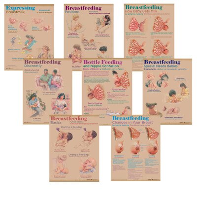 Breastfeeding Chart Set of eight charts for breastfeeding education and teaching lactation from Childbirth Graphics, 90809