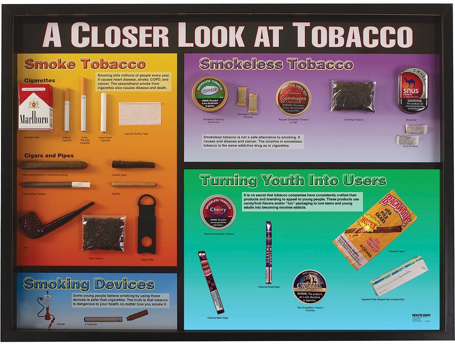 A Closer Look at Tobacco 3-D Display from Health Edco