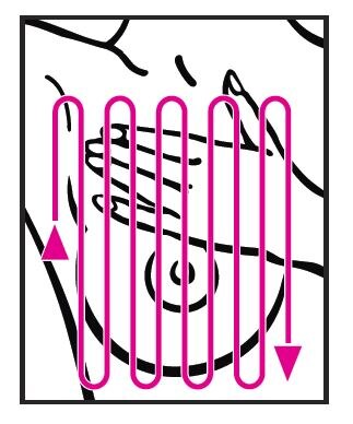 BSE Vertical Pattern