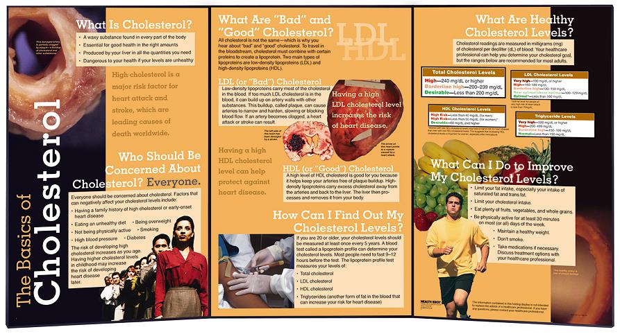 The Basics of Cholesterol Folding Display for health education from Health Edco