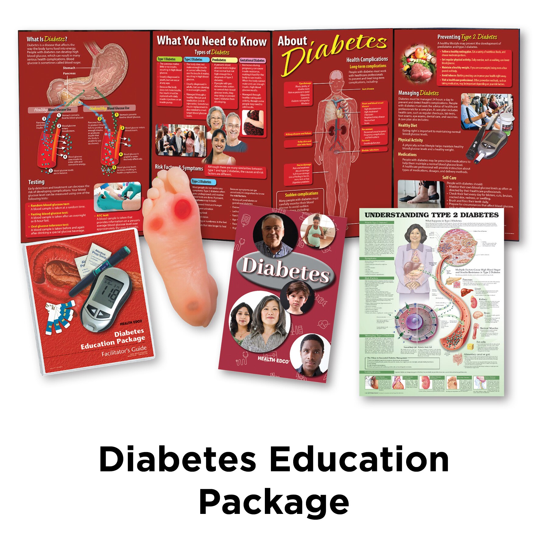 Diabetes Education Package for health education by Health Edco with display, diabetic foot model, and teaching booklet, 79370