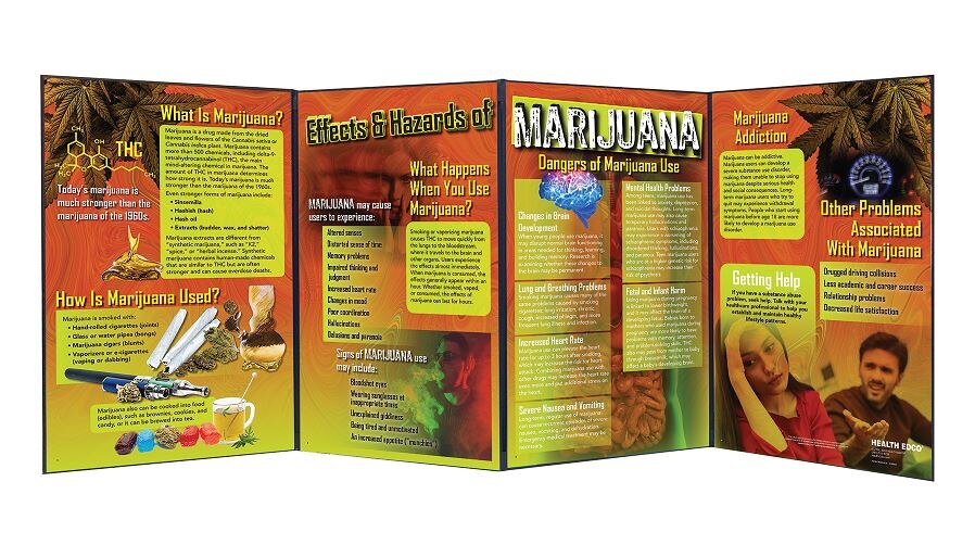 Effects & Hazards of Marijuana Folding Display