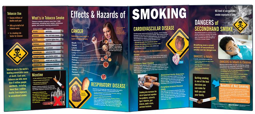 What You Should Know About STDs Folding Display for health education from Health Edco