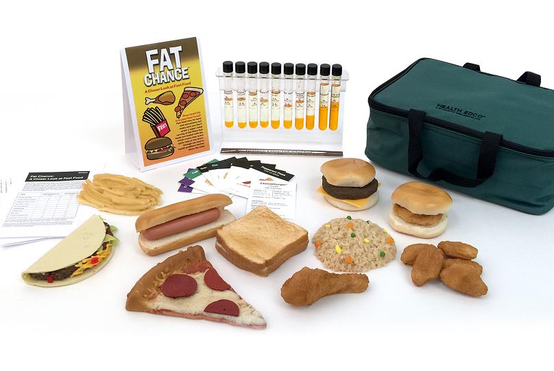 fatty fast food models educational display