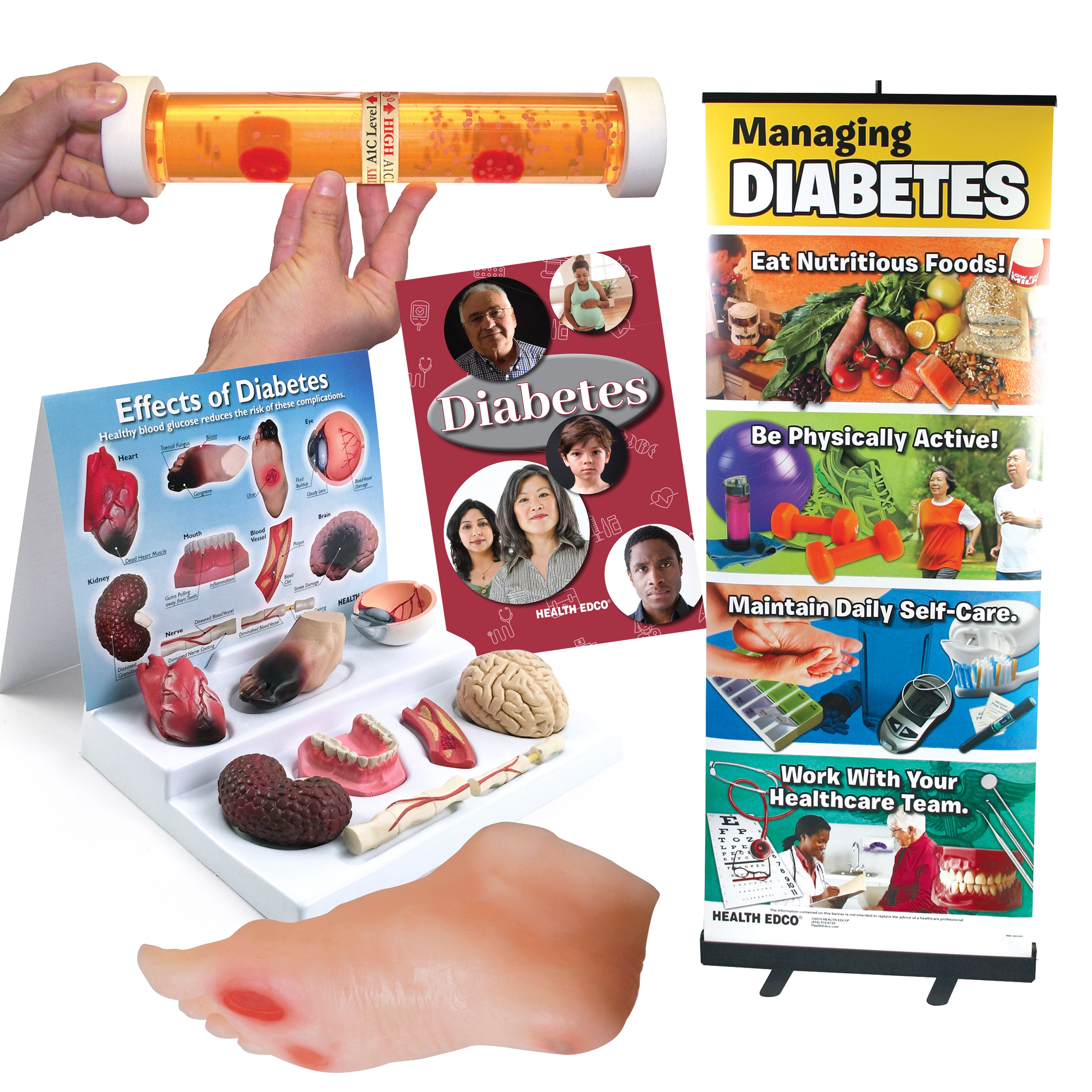 Health Edco diabetes education materials and teaching models