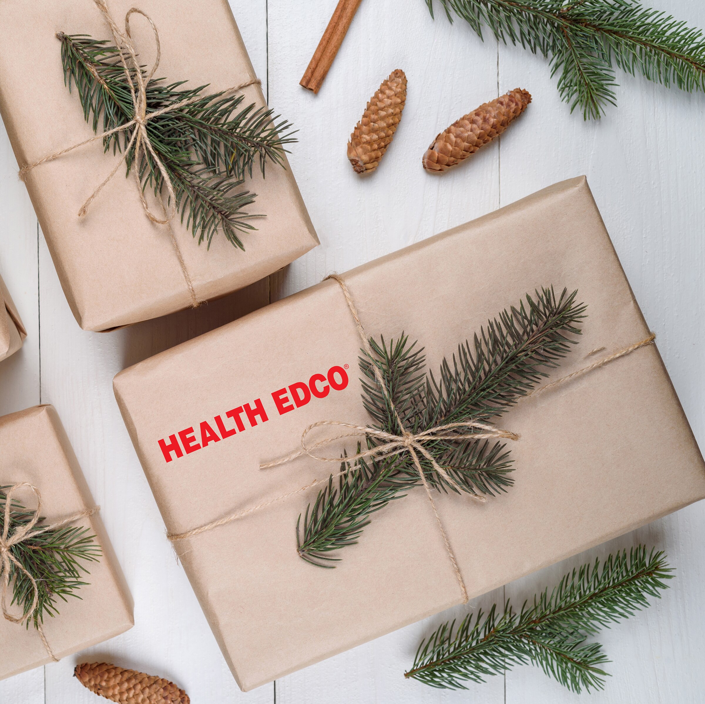 Health Edco holiday packages of health education materials