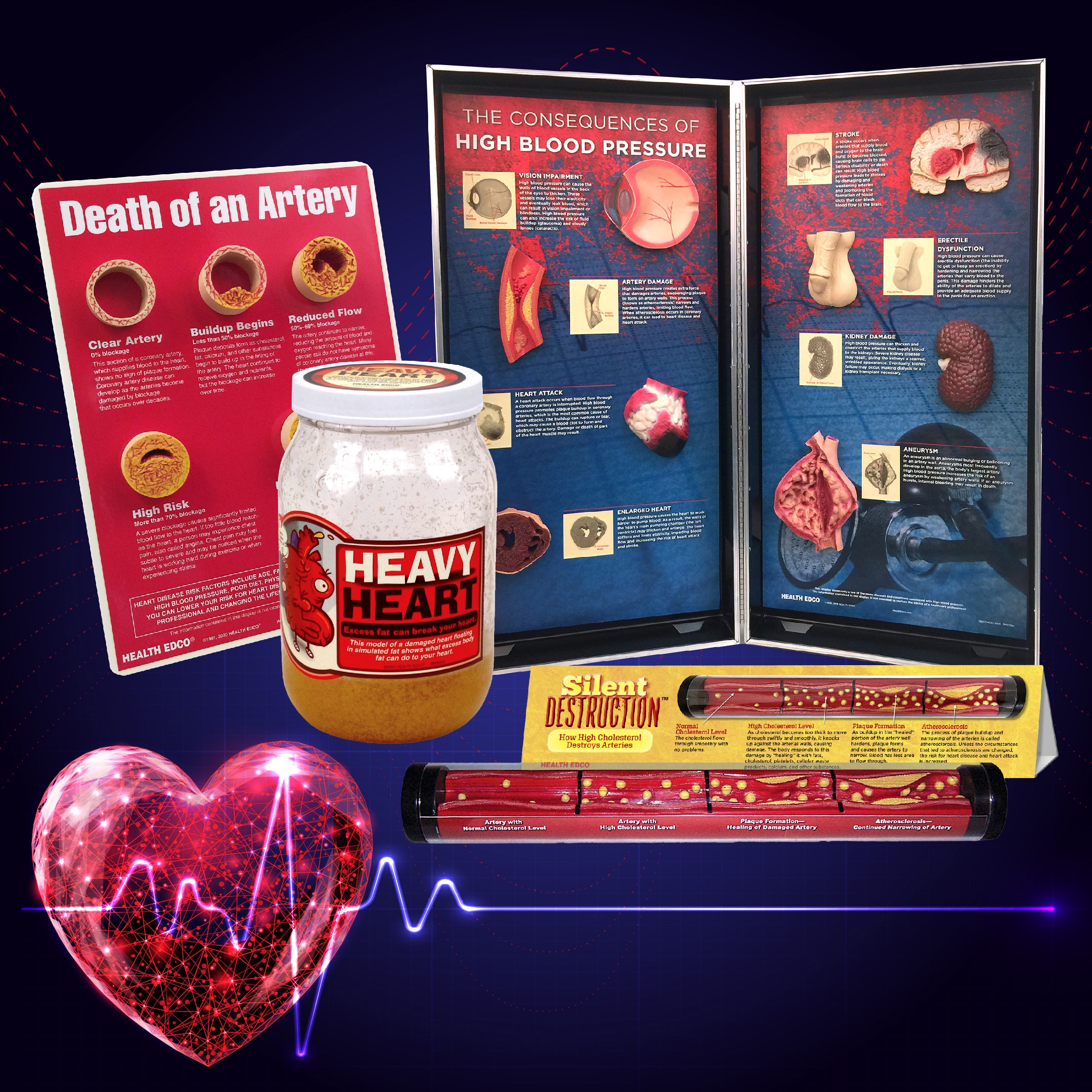 Health Edco heart health education materials and models