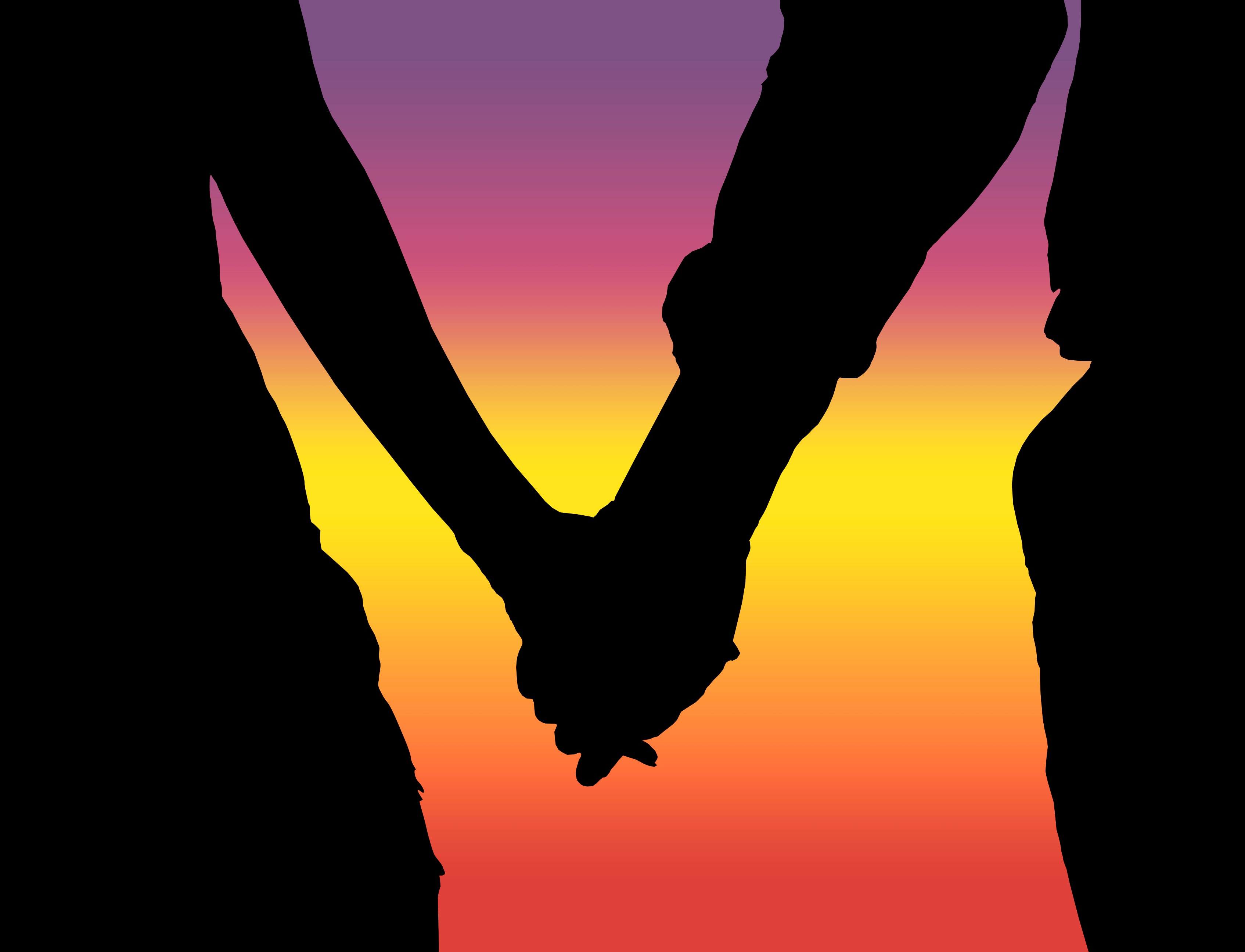 Silouette of couple holding hands at sunset