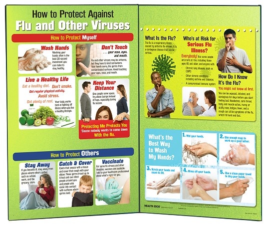 How to Protect Against Flu and Other Viruses Folding Display for health education from Health Edco