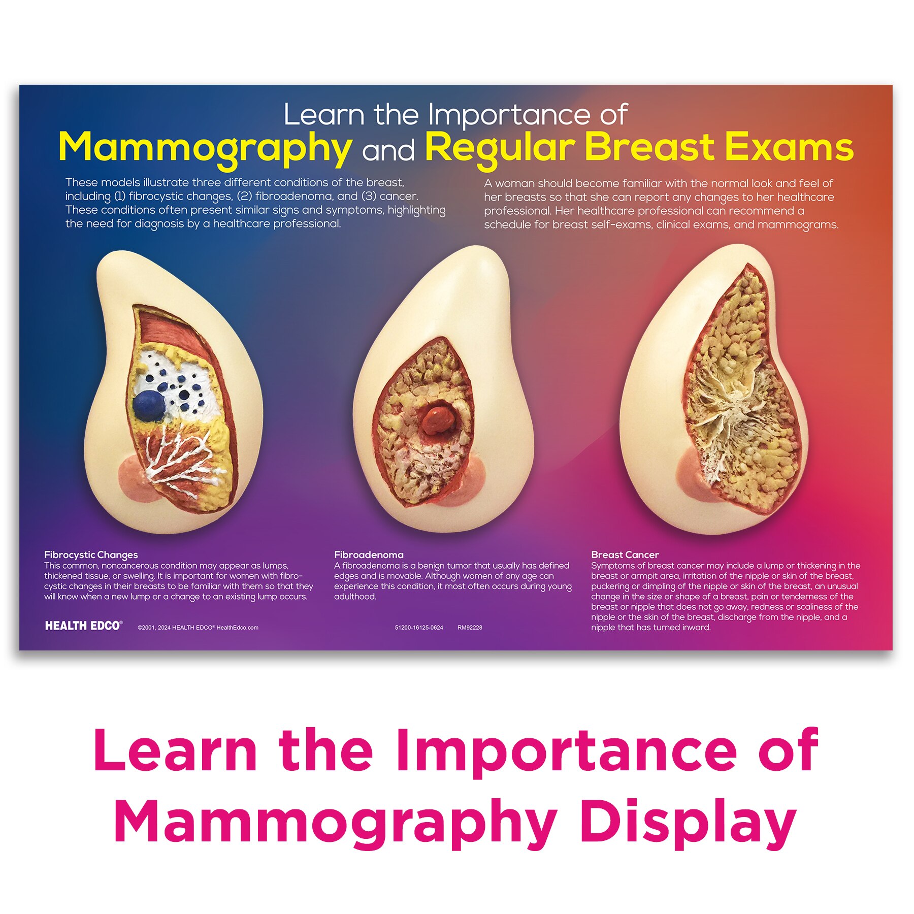 Learn the Importance of Mammography breast health education display, Health Edco, 51200