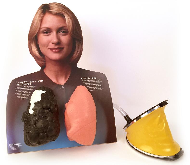 Lou-Wheeze Smoker’s Lung Comparison Model tobacco education resource from Health Edco