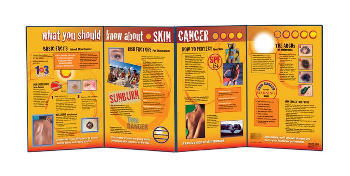 skin cancer educational display