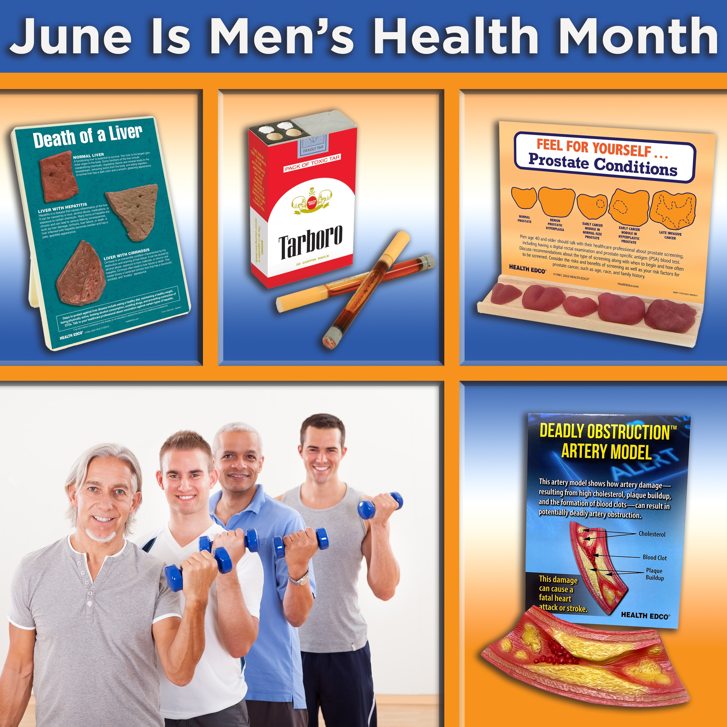 Men’s Health Month, men’s health education materials, Health Edco