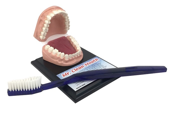 Mr. Clean Mouth With Giant Toothbrush dental health education model from Health Edco